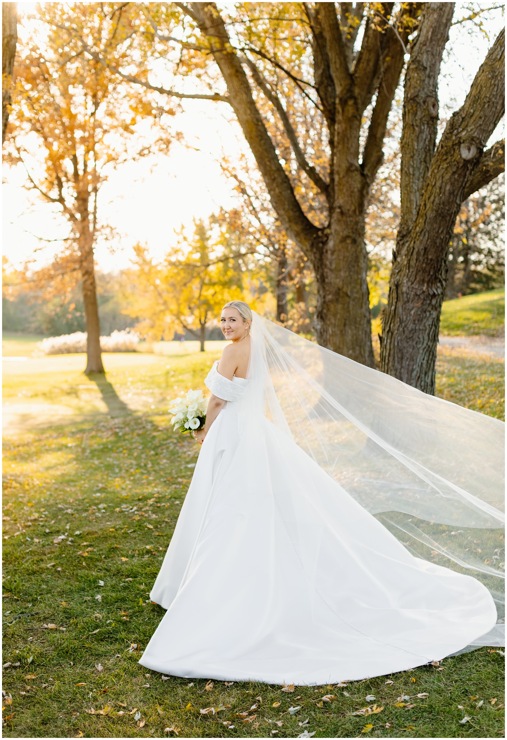 A bride walks in a lawn with her long veil blowing in the wind behind her at her Hyatt Lodge Oak Brook Wedding